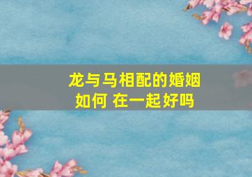 龙与马相配的婚姻如何 在一起好吗